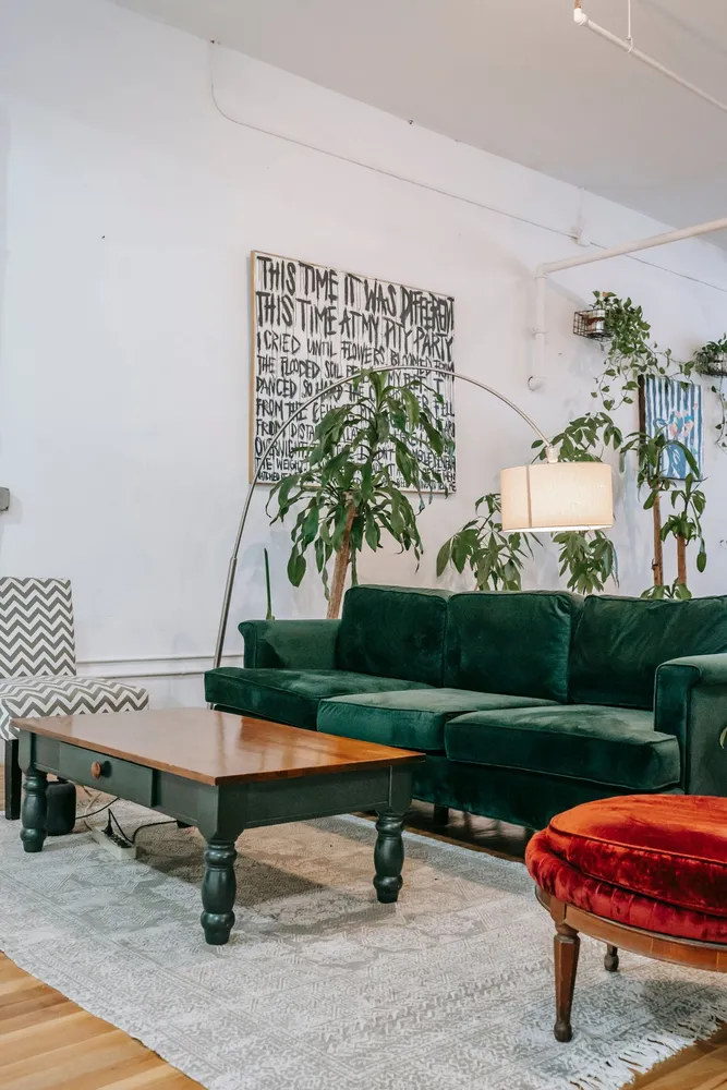 Living room with a green sofa and indoor plants